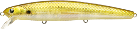 Golden Shiner