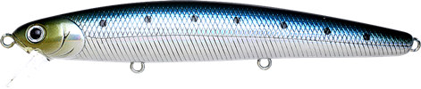 Metallic Sardine