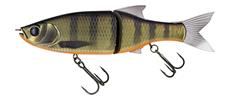 #481 Dark Gill Orange Belly