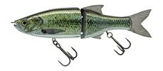 #611 Live Black Bass