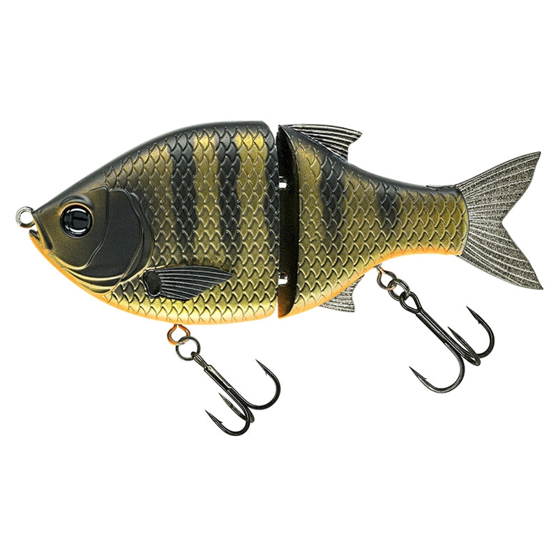 #481 Dark Gill Orange Belly