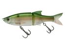 #522 Ghost Gizzard Shad