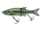 Live Black Bass