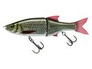 Live Carp