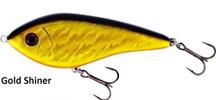 Gold Shiner