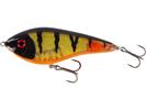 Golden Perch