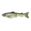#22 Golden Shiner