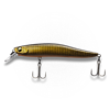 Golden Roach