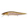 FA Brown Trout