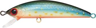 Brook Trout