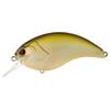 #03 Horizon Shad