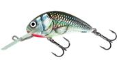 Holo Grey Shiner
