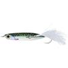 Mackerel