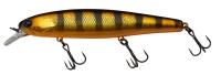 Aurora Black & Gold