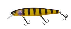 Zander Bee