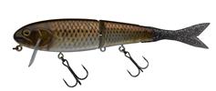 RT Gold Carp