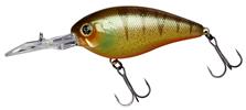 Agressive Perch