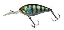 HL Sunfish