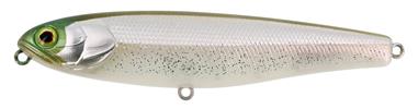 Secret Sand Eel