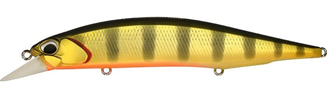 ASA3146 Gold Perch