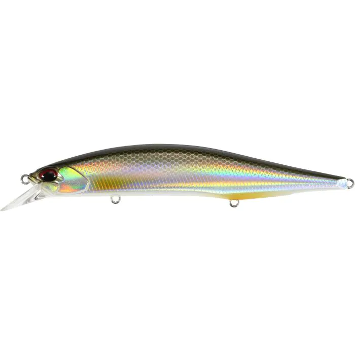 ANA3261 Silver Roach