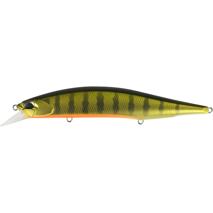 ASA3146 Gold Perch