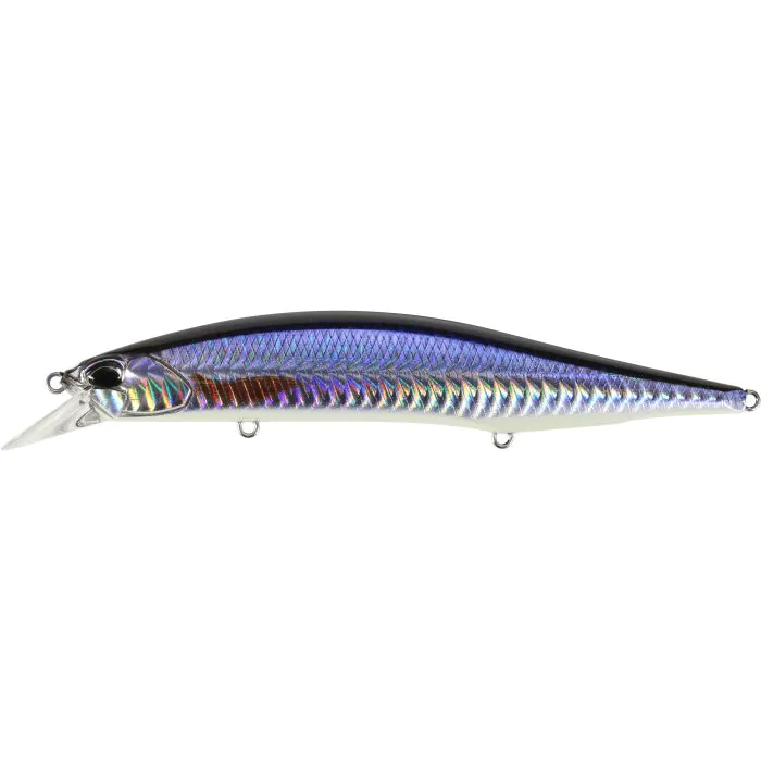 CFA3830 Roach ND