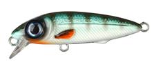 The Kid Herring