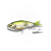 Holotench