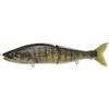 # Real Large Mouth Bass