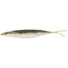 #146 Lake Biwa Smelt