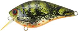 TO Green Craw