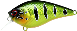 Magma Peacock