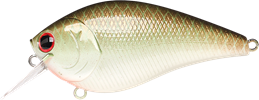 Copper Green Shad