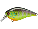 Gorgeous Purple Chart Gill