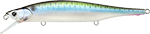 Live Threadfin shad