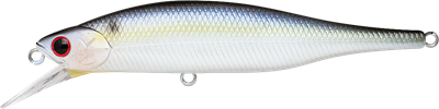 Pearl Threadfin Shad