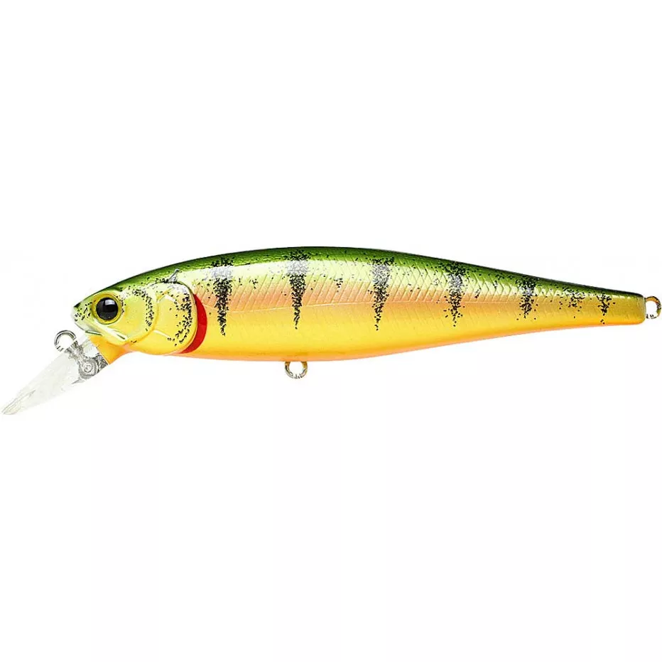 Northern Yellow Perch