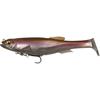 Biwako Shad