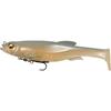 White Back Shad