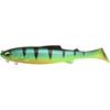 Shiny Perch