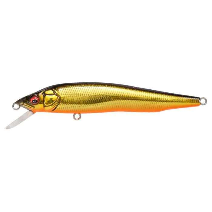 Megabass Kinkuro