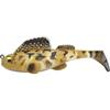 Real Goby
