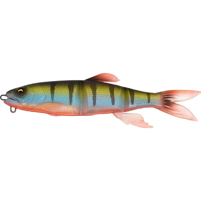 Red Fin Perch