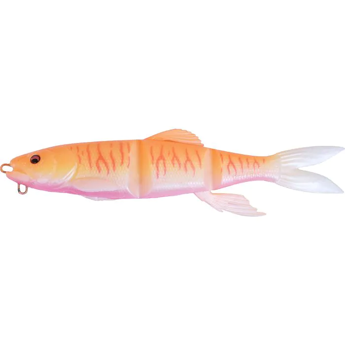 Albino Tiger