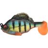 Redfin Perch