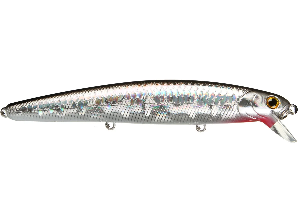 MS Anchovy