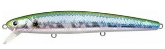 MS Green Herring