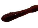 Mud Earthworm