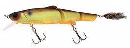 Muddy Roach